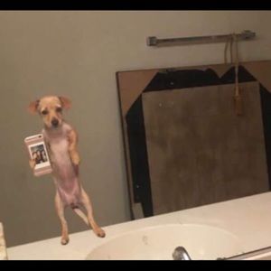 Meet your Posher, Giovanni